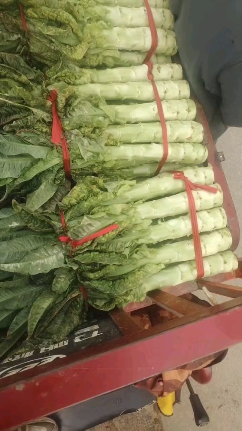 【热卖】精品莴笋，产地直发，欢迎进店，咨询选购。