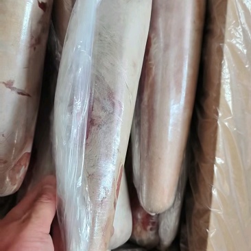 新到牛舌，单弄包装，一箱八个，质量非常好。