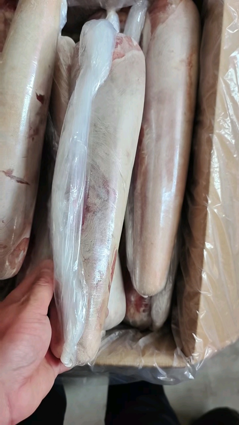 新到牛舌，单弄包装，一箱八个，质量非常好。