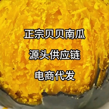 【广西贝贝南瓜】沙地贝贝南瓜/粉糯香甜/电商团购一件批发