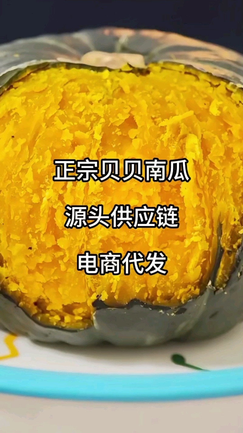 【广西贝贝南瓜】沙地贝贝南瓜/粉糯香甜/电商团购一件批发