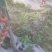 西红柿上市，产地直供新鲜优质