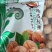 新疆核桃薄皮核桃纸皮核桃源头加工厂电商社区一件代发