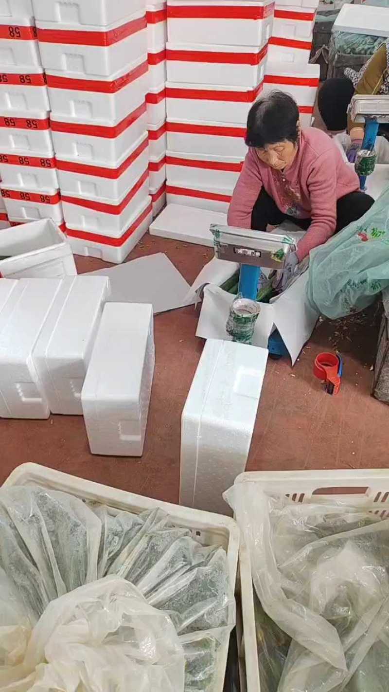 寿光水果黄瓜质量保障对接电商市场商超可视频看货
