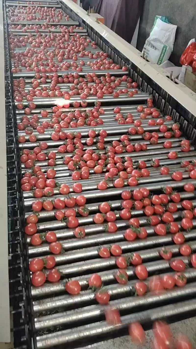 皮筋口感好，个头匀，两块四