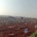 土豆黄心土豆沃土5号基地直供量大从优联系订购