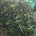云南水果玉米，颗粒饱满，口感很好，价格实惠，质量保质保量