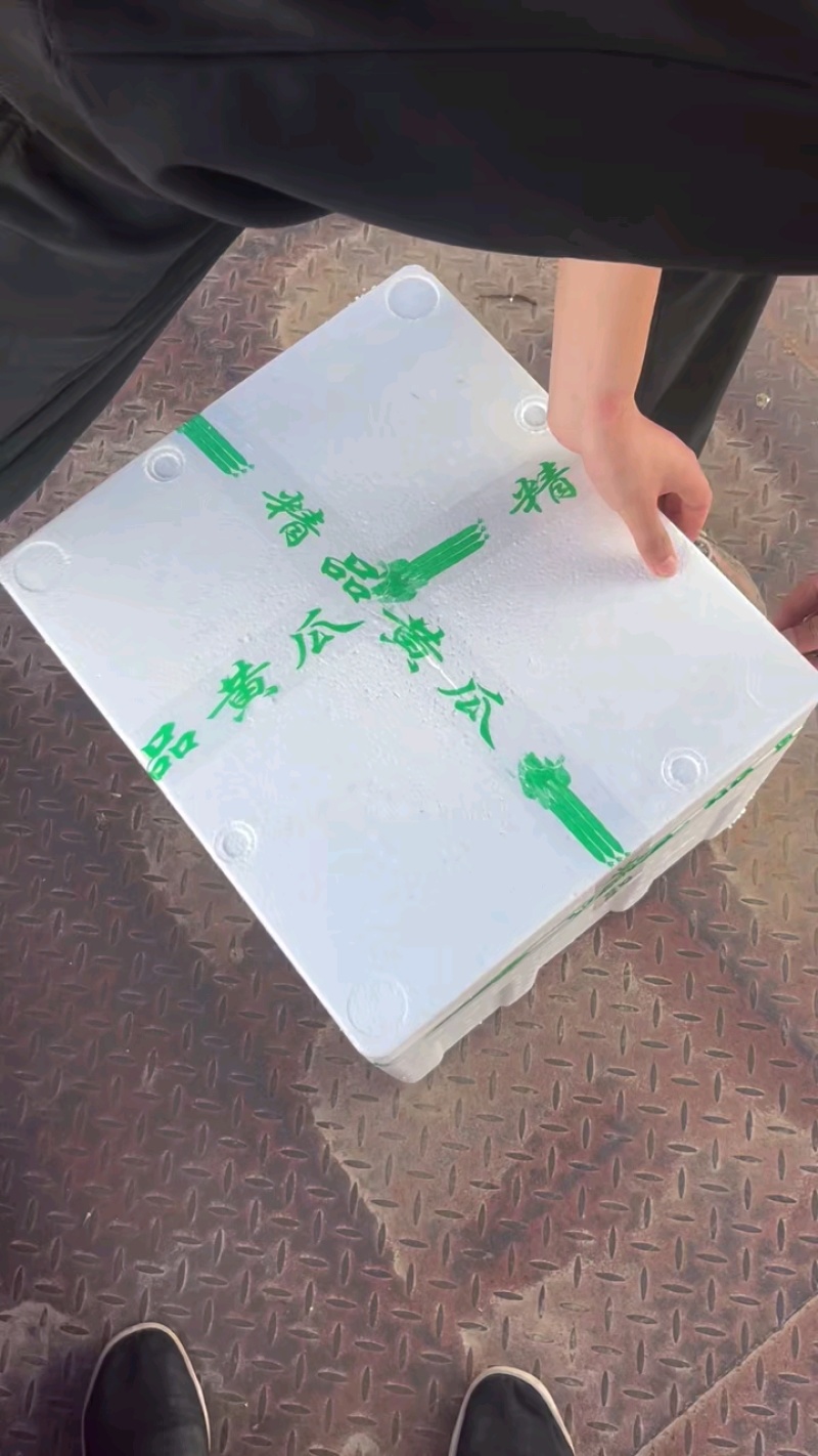【推荐】河南夏邑密刺黄瓜，质量保证产地一手货源！