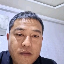 富士辽宁绥中富士苹果大量上市了个大皮毛亮颜色全红脆甜