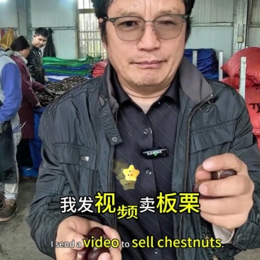 【精】2024年迁西老树板栗软糯香甜人工挑选炒货店专用