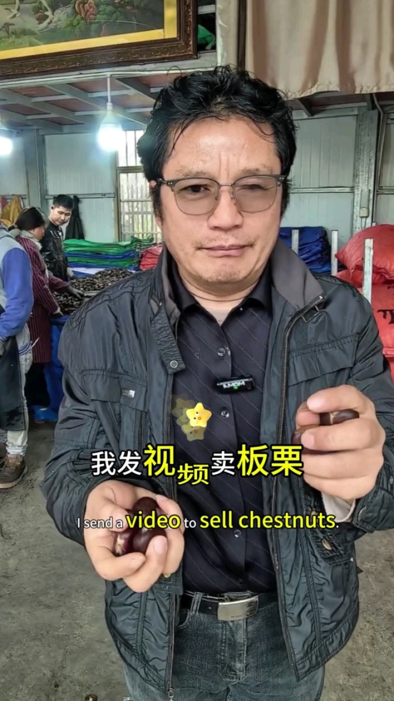 【精】2024年迁西老树板栗软糯香甜人工挑选炒货店专用