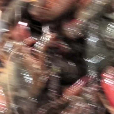 湖北潜江清水【小龙虾】456钱中青一件代批,产地直销