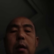 湘西野生百花蜜