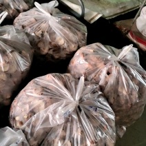 鲜香菇大量有货可对接电商平台发全国