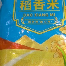 黑龙江稻香米真空包装品质保证自己农场种植诚信经营