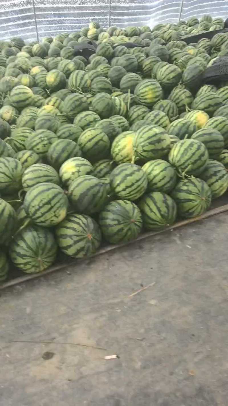 无籽有籽甜王西瓜，大量上市，支持按需做货按需包装价格合理