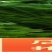 芹菜大量供应，常年不断货，质量有保证，诚信第一
