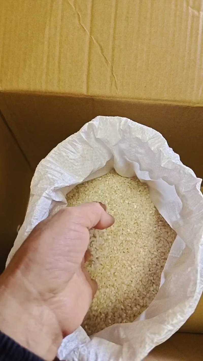 颗粒饱满5055，2.3元/斤，江苏南通产地直供