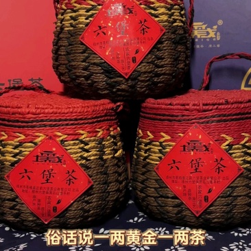 高山云雾六堡茶2016年特级春芽传统工艺
