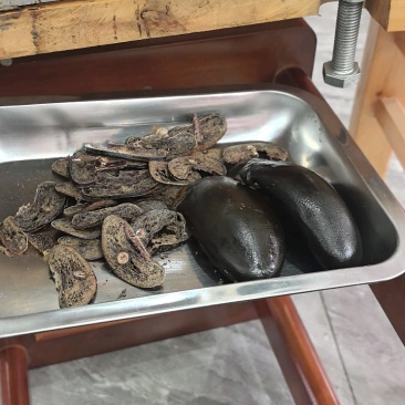 吉林双阳鹿场梅花鹿干鹿尾鲜鹿尾一手货源大量批发