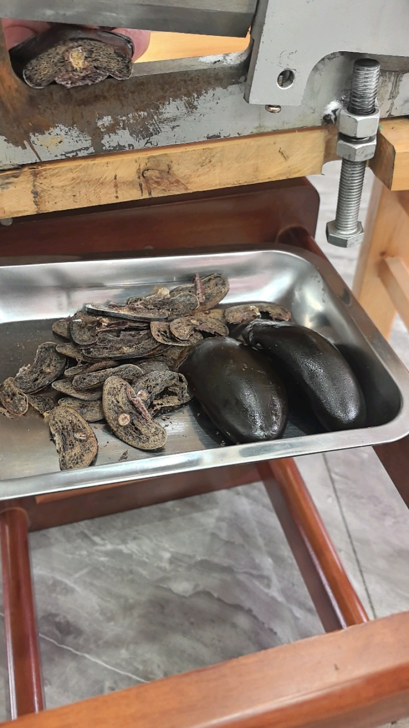吉林双阳鹿场梅花鹿干鹿尾鲜鹿尾一手货源大量批发