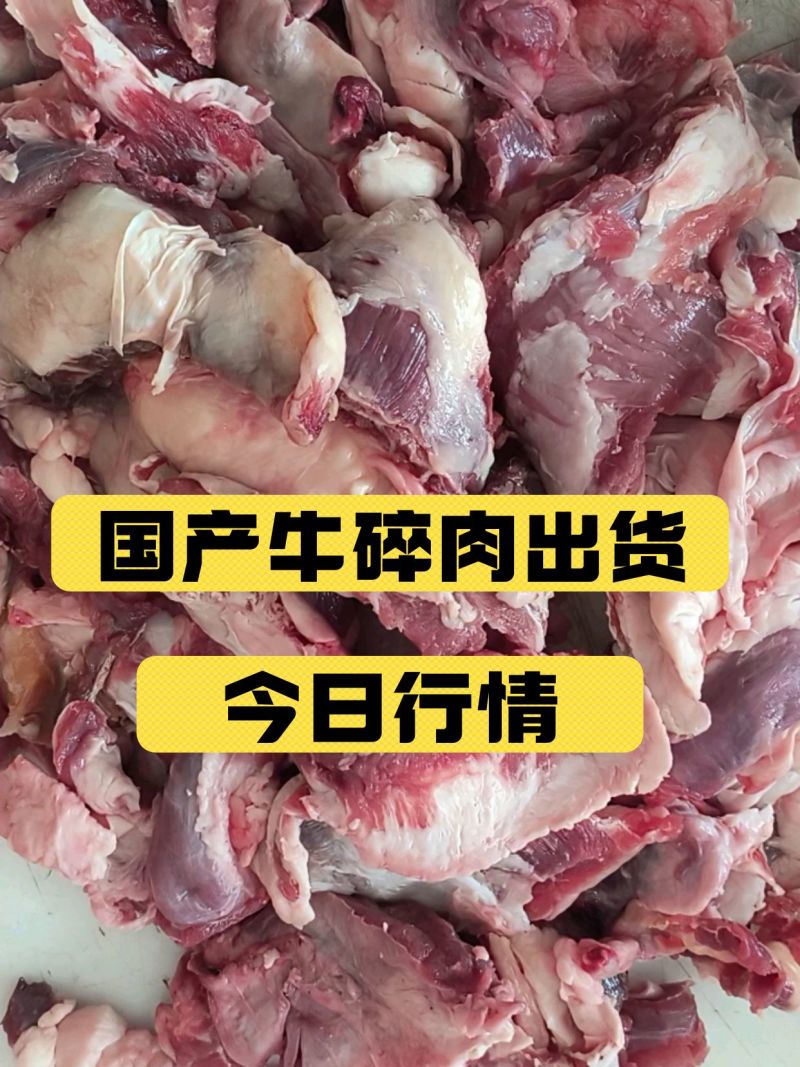 牛碎肉，八比二比例，质量稳定，长期有货品质保证服务周到