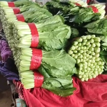 小白菜产地直供质量保证