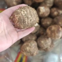 产地一手货源，大量现货，随到随装！