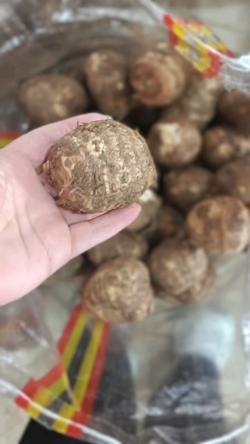 产地一手货源，大量现货，随到随装！
