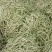 山东产地大量直供九粒白芸豆新品上市产地直销