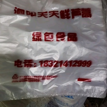 芦蒿江苏泗阳县常年供应保质保量价格便宜全国发货
