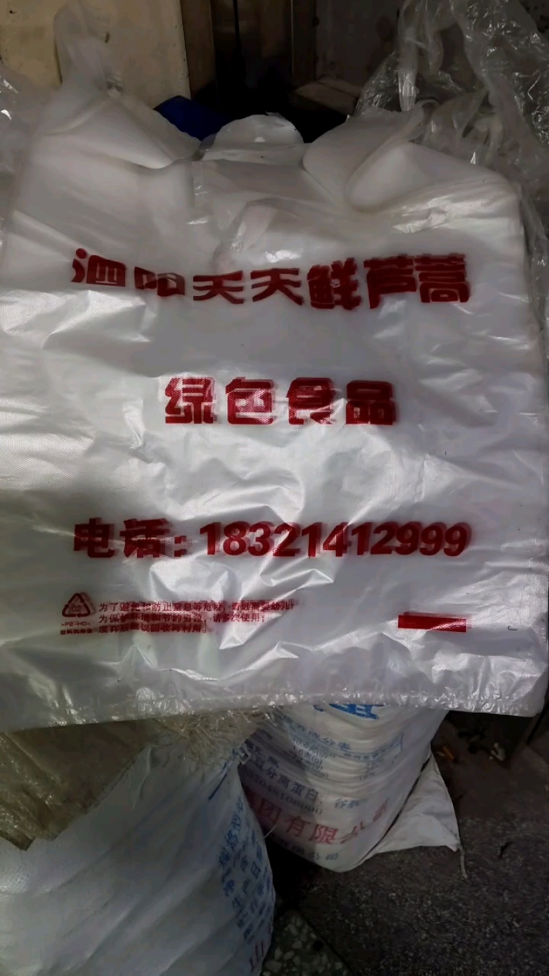 芦蒿江苏泗阳县常年供应保质保量价格便宜全国发货