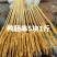 鸭肠串5块1斤，鸭肠串五元1斤，这家鸭肠都是提前处理好的