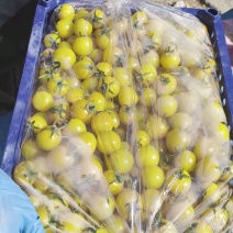 碧娇圣女果，盘锦减地碧娇圣女果大量下货，需要的可以联系我