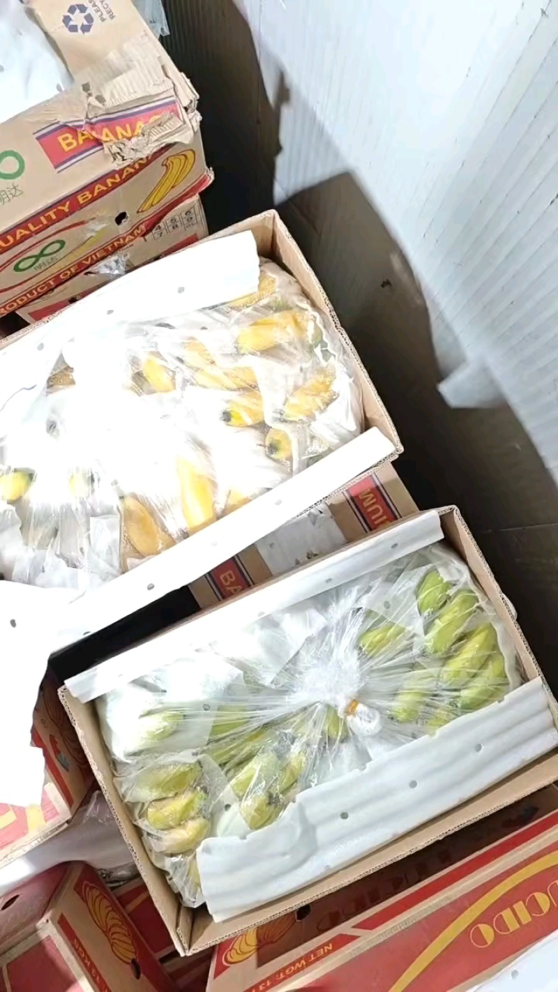 精品香蕉，全年供应，规格齐全，价格便宜，全国直达