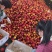 山东油桃甄选油桃品质好直供电商商超市场量大从