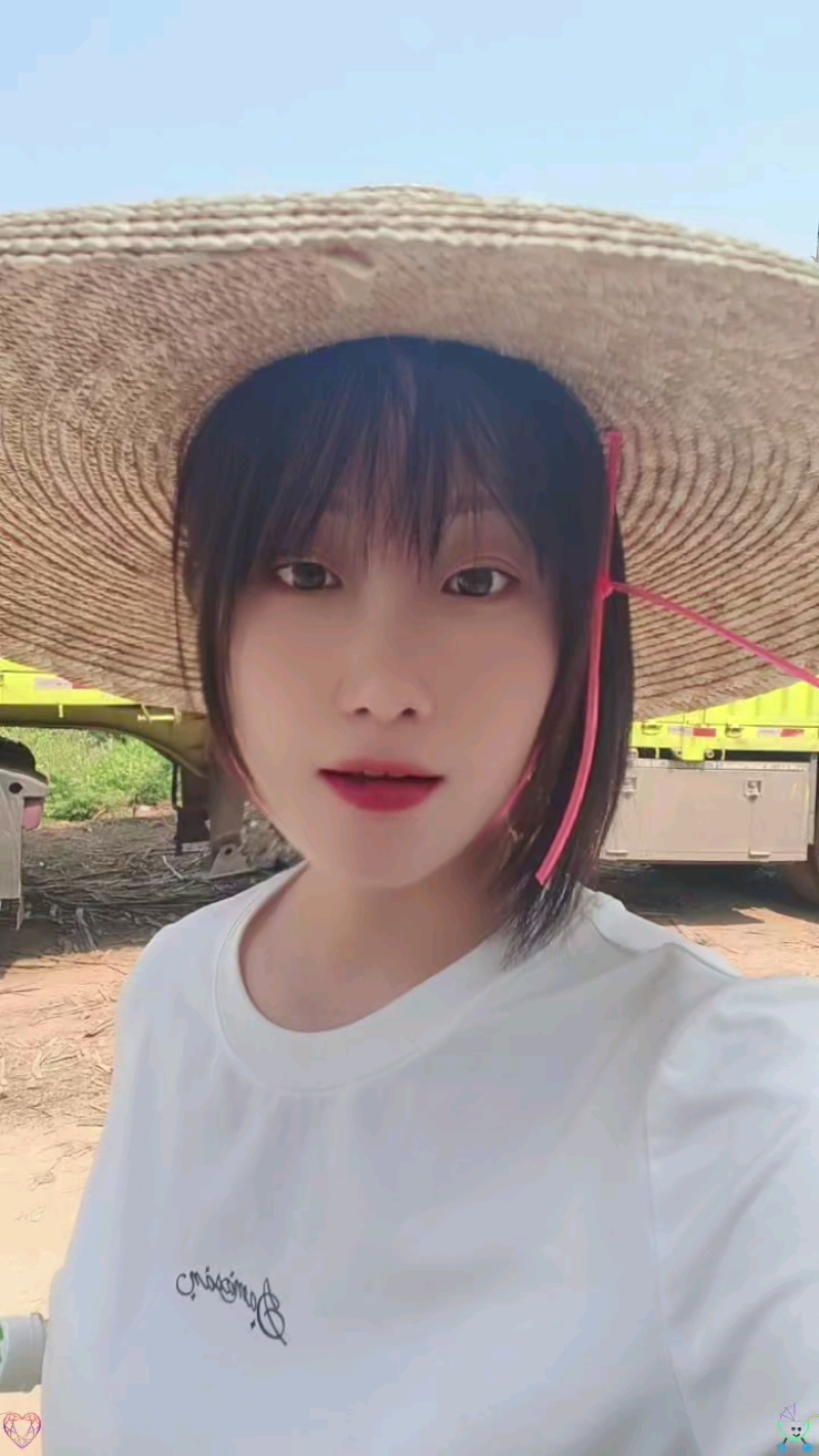贝贝南瓜
