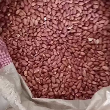 优质花生米通货，有货可联系。