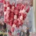 刚到的钢签羊肉串，一箱10包共200串