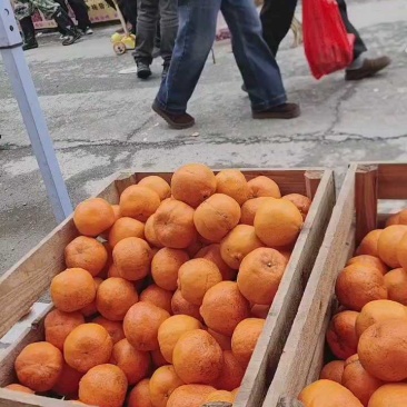 湘西碰杆