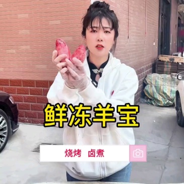 鲜冻大瑶宝，20多一斤，净重30斤箱装