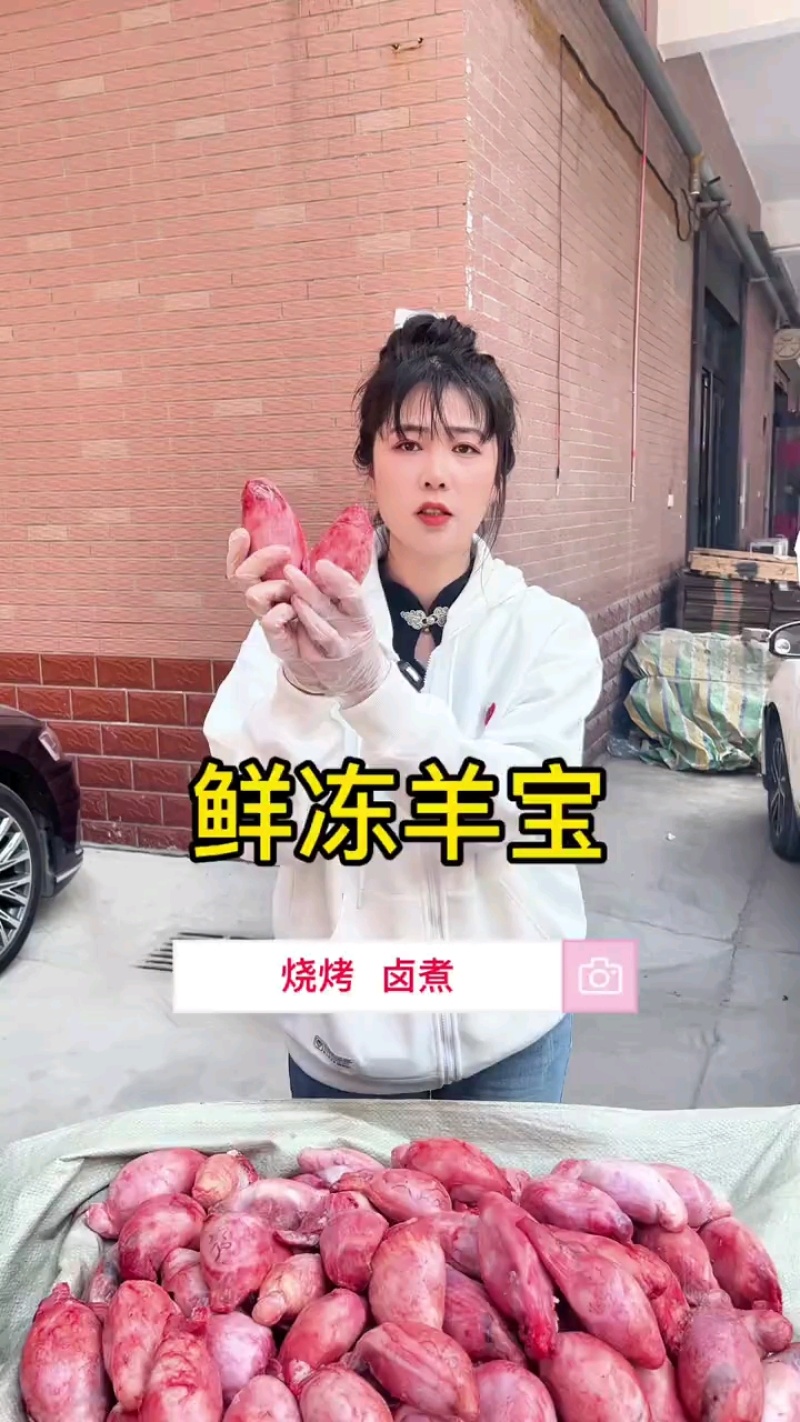 鲜冻大瑶宝，20多一斤，净重30斤箱装