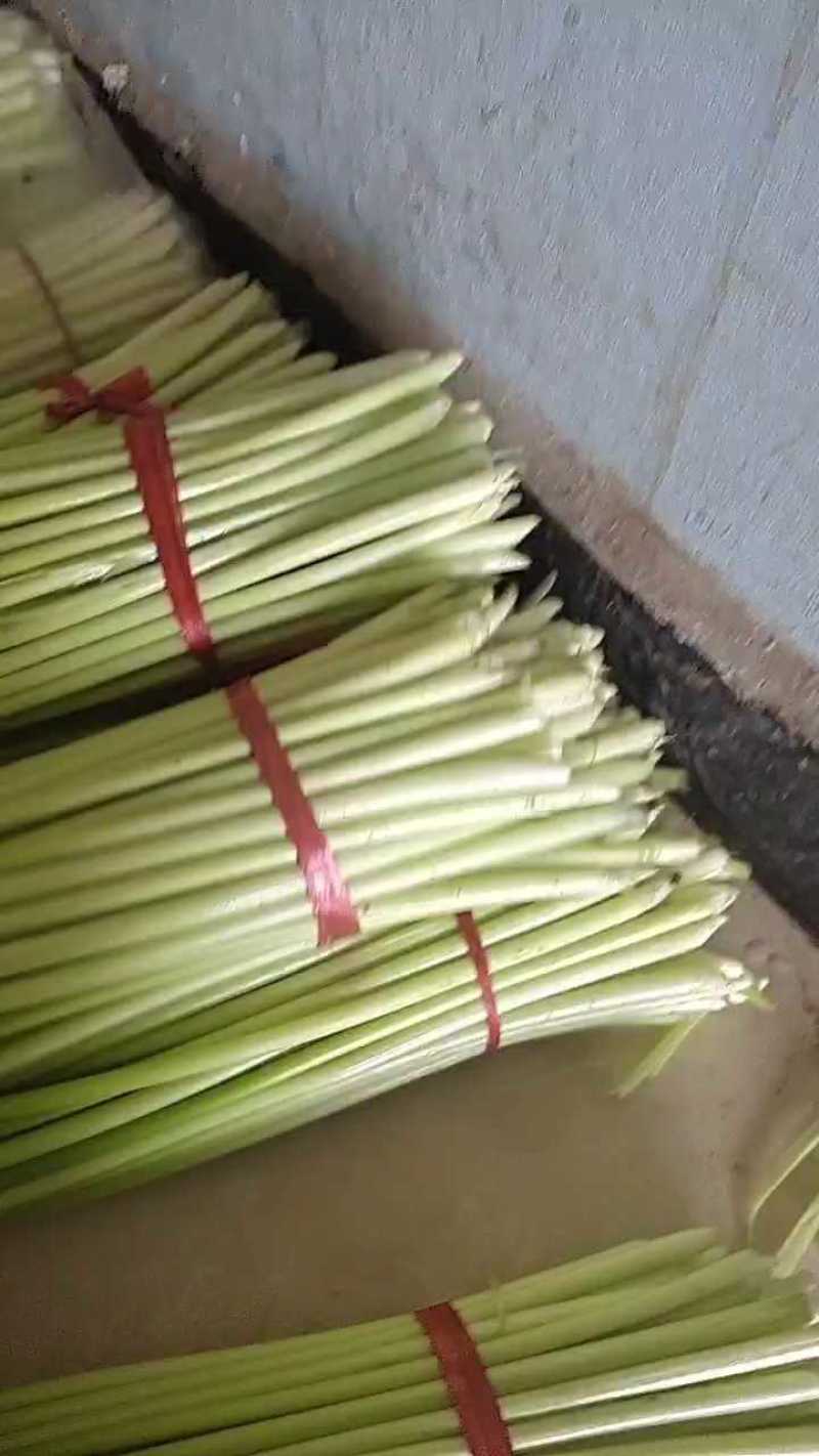 精品蒜苔