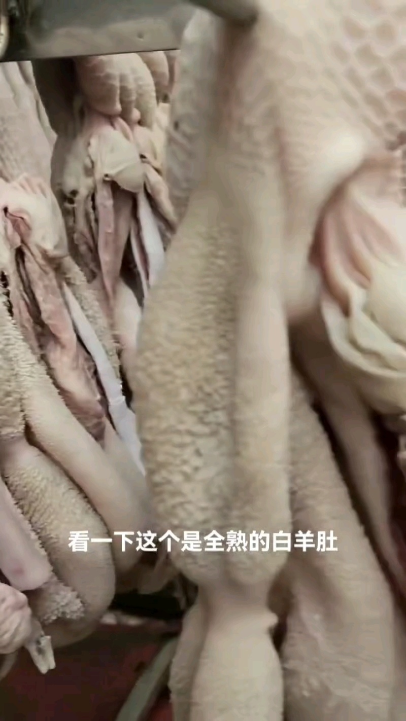 无冰无油白羊肚，十多块一斤，直接可用！