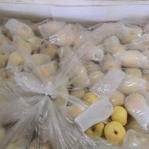 维纳斯苹果脆甜可口，价格优惠，品质保证，商超一件代发