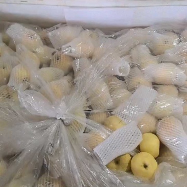 维纳斯苹果脆甜可口，价格优惠，品质保证，商超一件代发