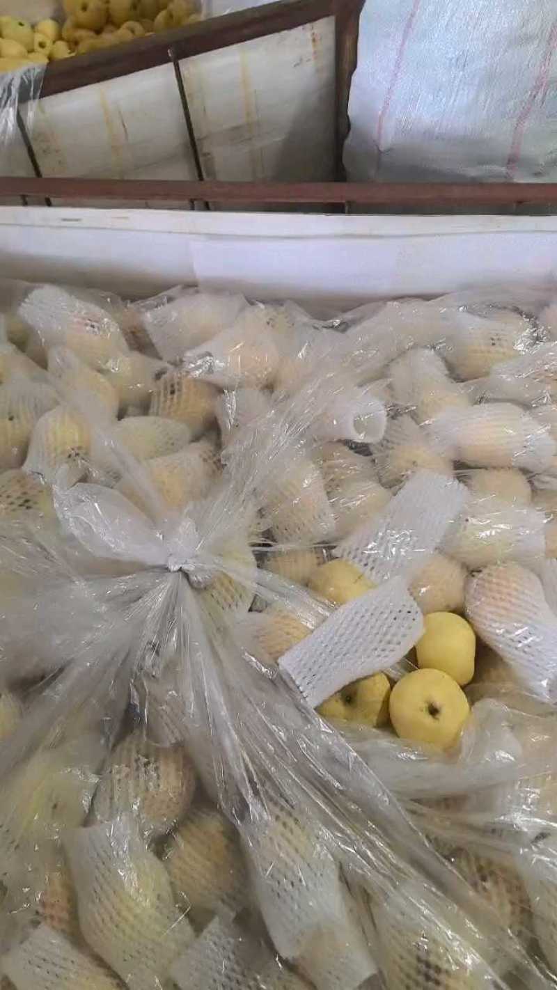 维纳斯苹果脆甜可口，价格优惠，品质保证，商超一件代发