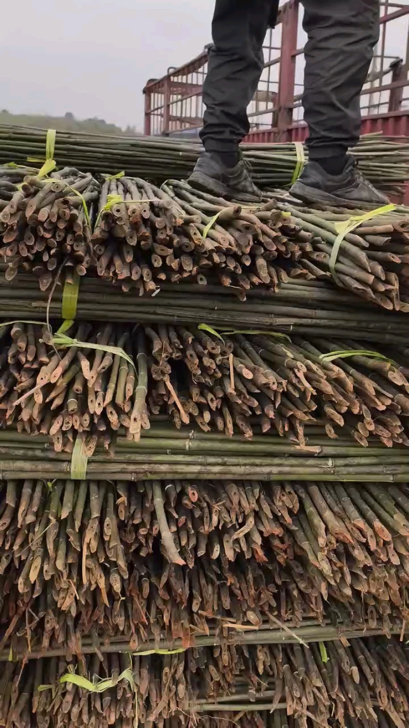 2.5米至4米规格型号齐全瓜果蔬菜等农作物