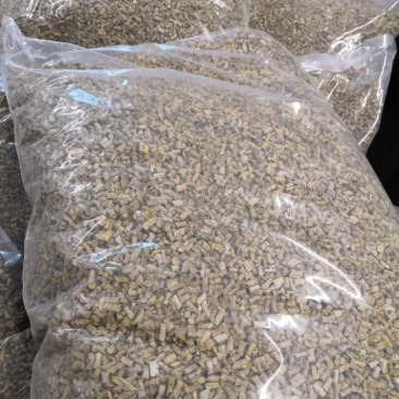 铁皮石斛烘干条/粒可磨粉、可直接咀嚼泡花茶欢迎来电