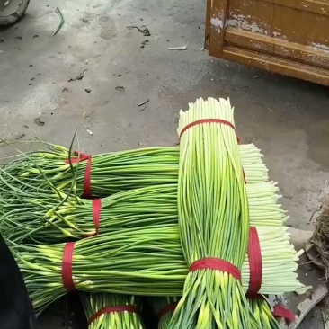 蒜薹品质**，价格暂未公布